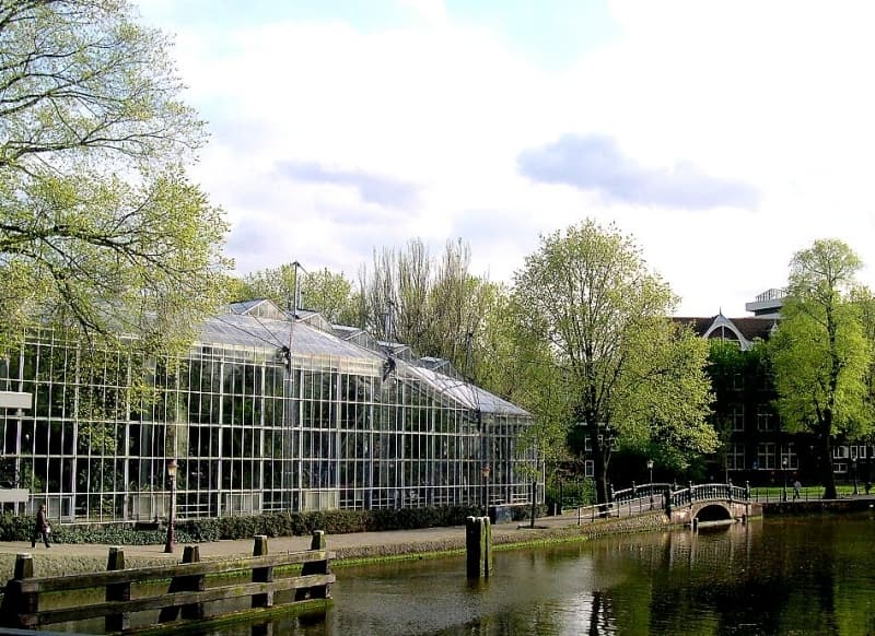 Place Hortus Botanicus Amsterdam