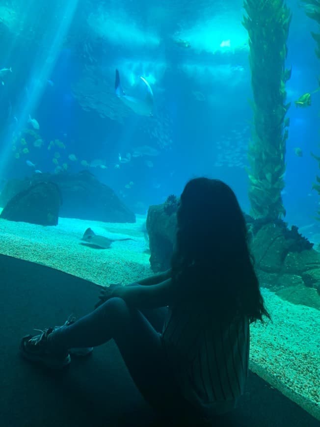 Lugar Oceanário de Lisboa