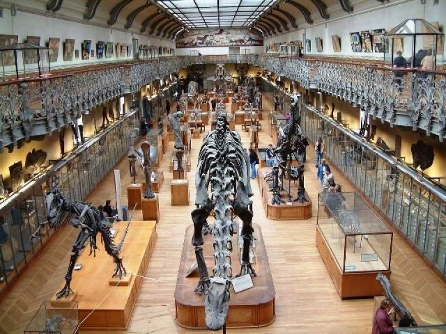 Lugar Museo nazionale di storia naturale di Francia