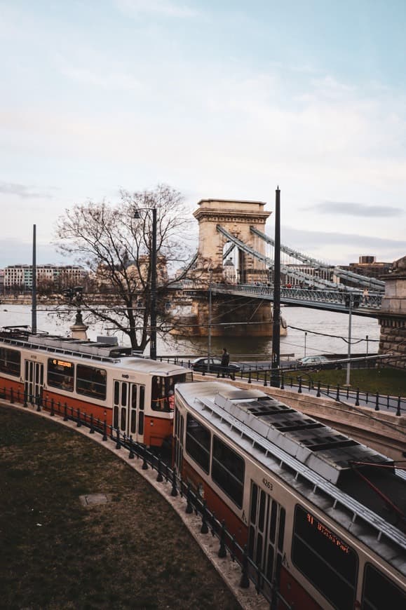 Place Széchenyi Chain Bridge