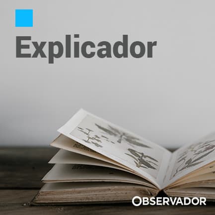 Fashion Explicador - Observador