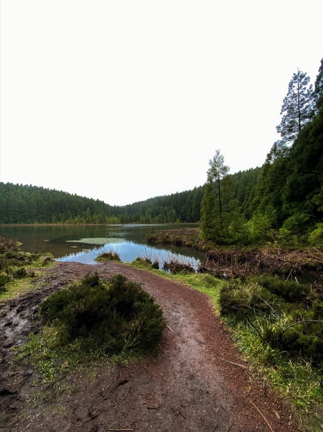 Lugar Lagoa do Canario