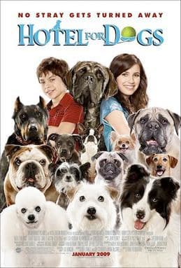 Movie Hotel for Dogs