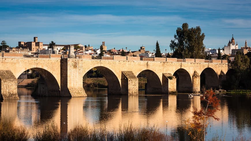 Place Puente de Palmas