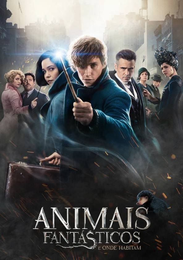 Película Fantastic Beasts and Where to Find Them