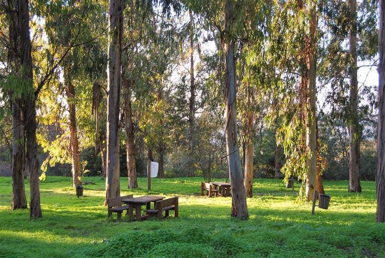 Lugar Parque Florestal de Monsanto