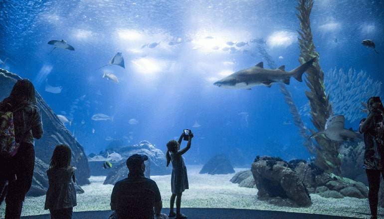 Lugar Oceanario de Lisboa