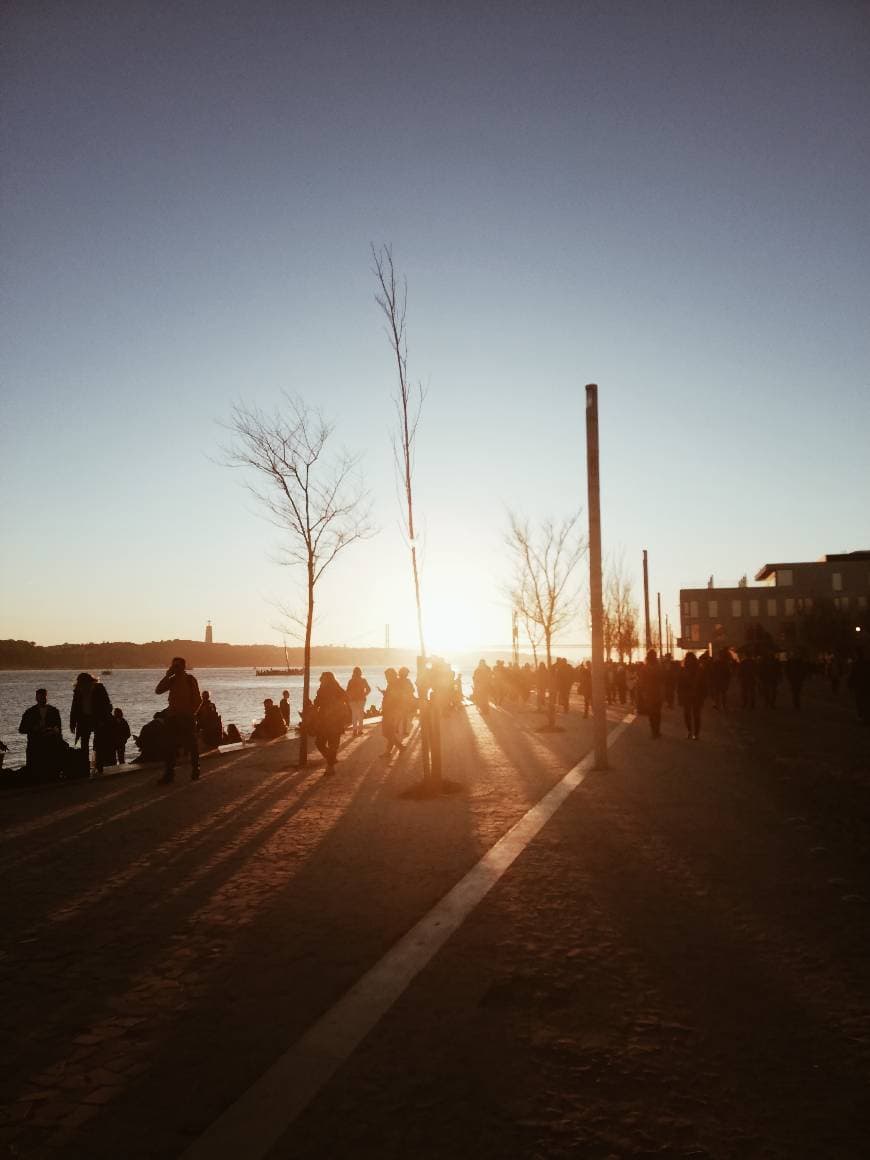 Lugar Terreiro do Paço