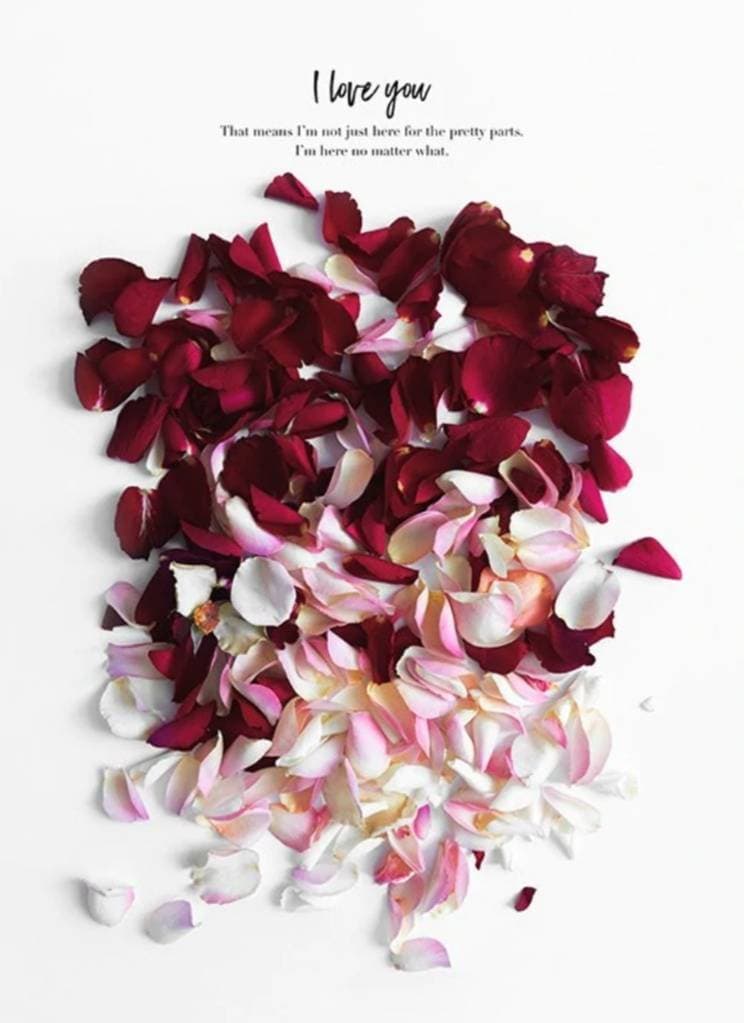 Moda Rose Petals Poster 