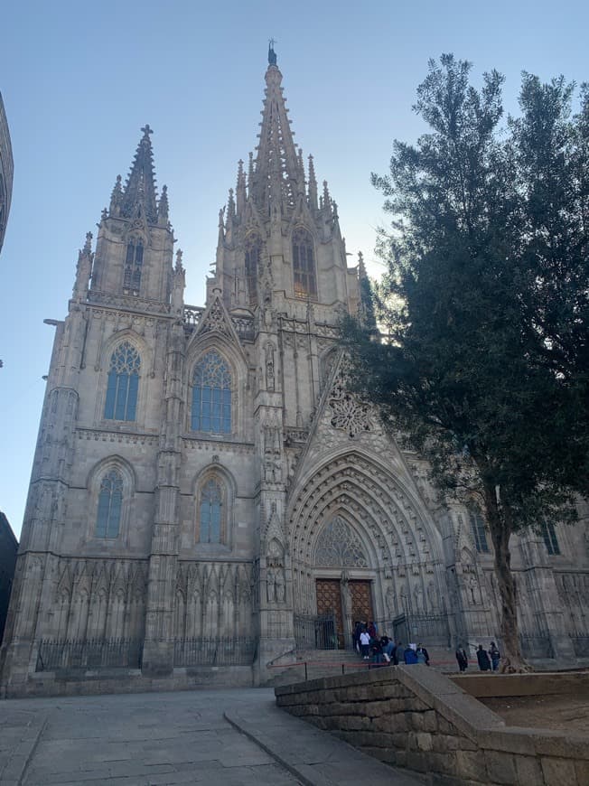 Lugar Catedral de Barcelona