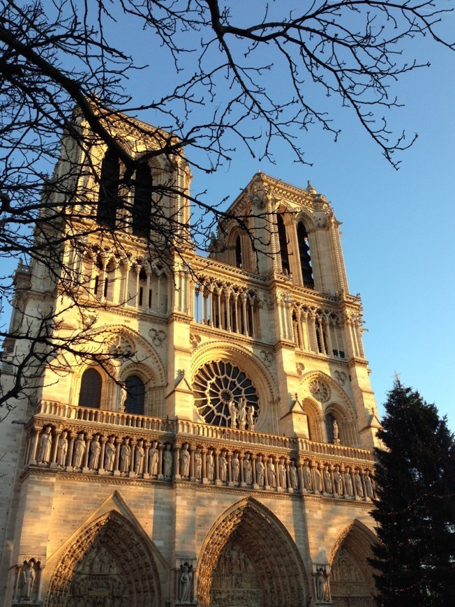 Lugar Catedral de Notre Dame