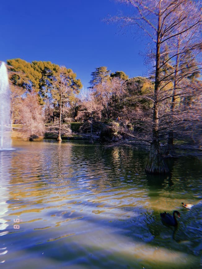 Lugar Parque de El Retiro