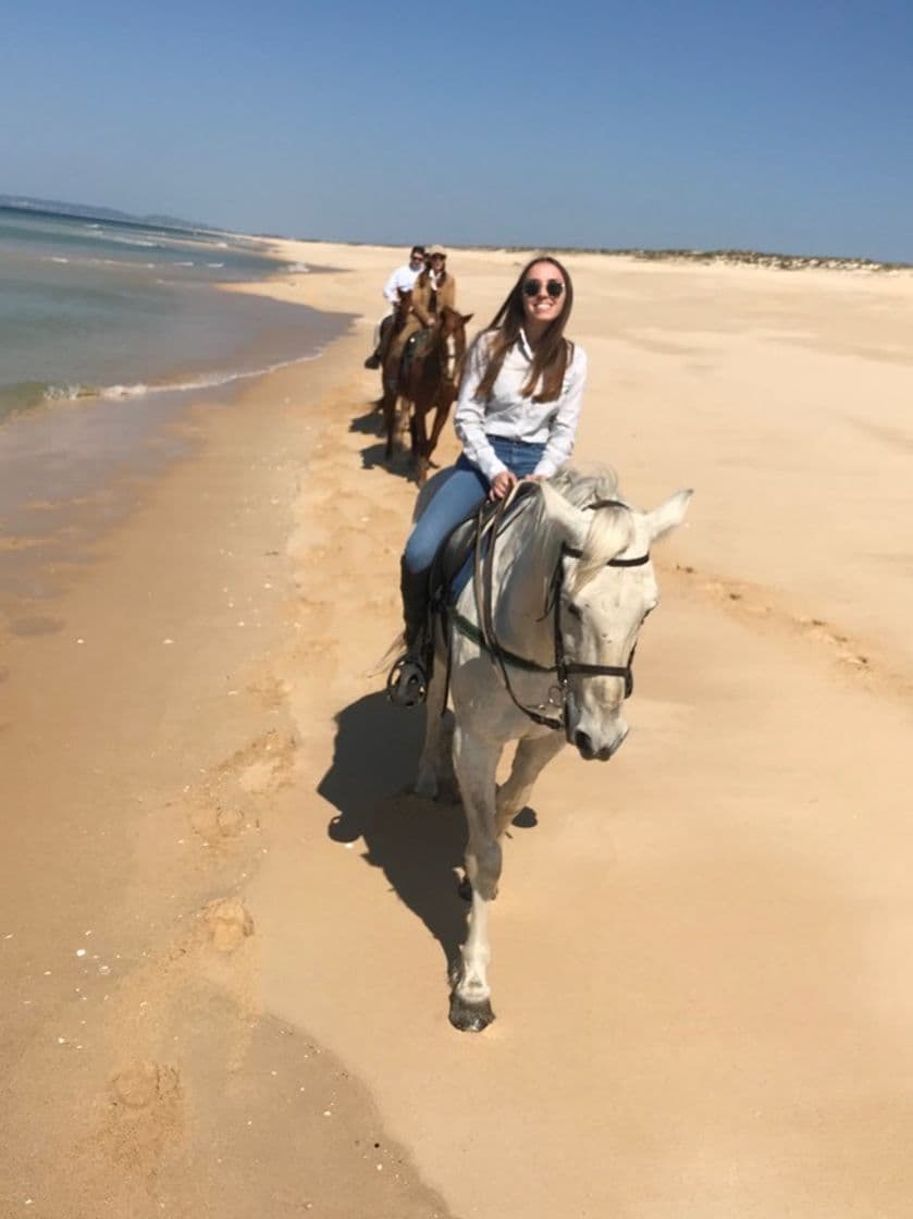 Lugar Cavalos na Areia