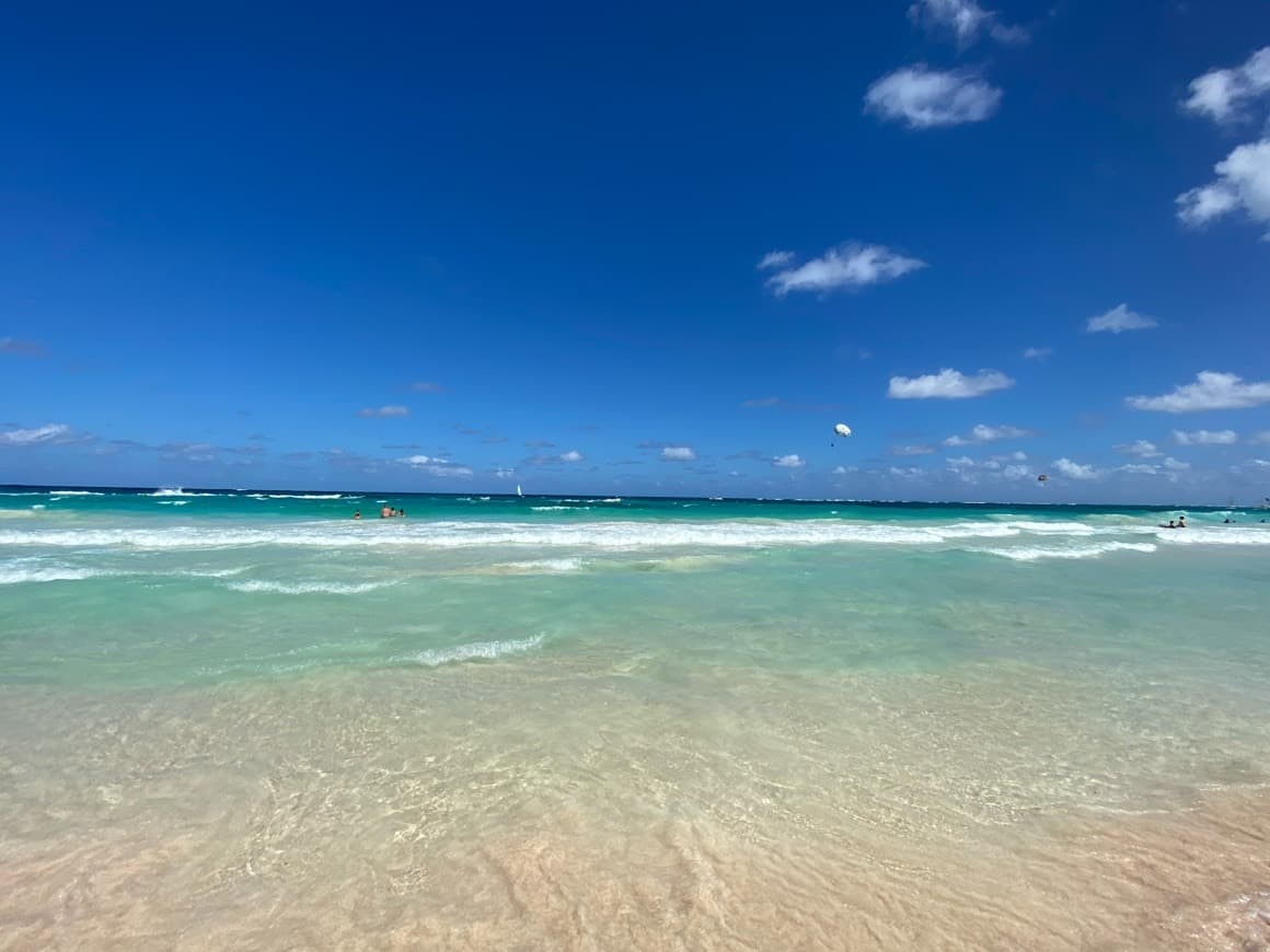 Lugar Hotel Barcelo Bavaro Grand Resort