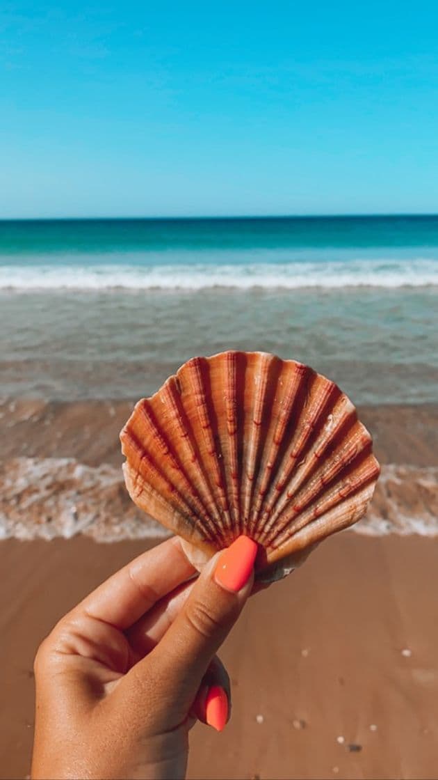 Lugar Praia dos salgados 🐚