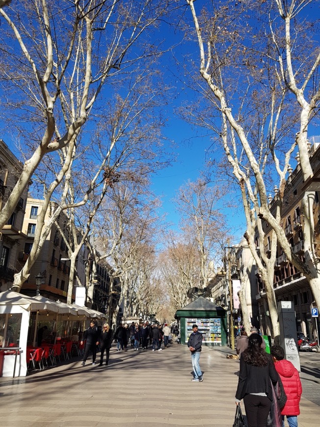 Place La Rambla