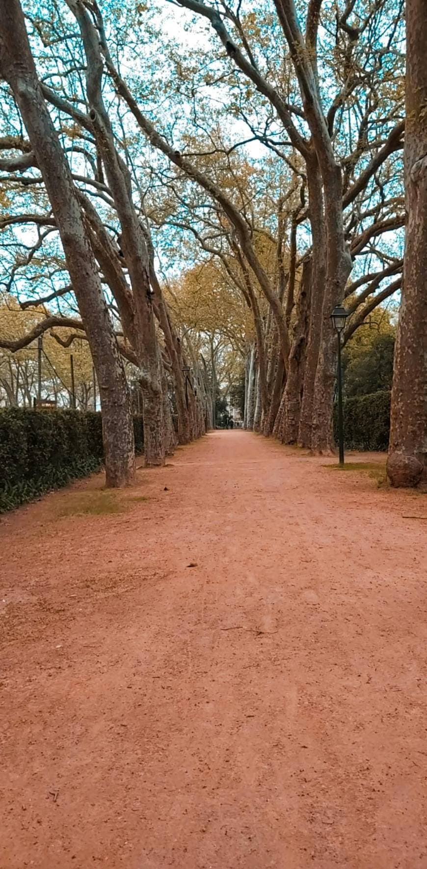 Lugar Caldas da Rainha