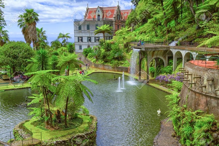 Lugar Monte Palace, Madeira