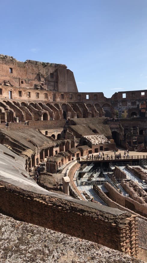 Lugar Coliseo de Roma