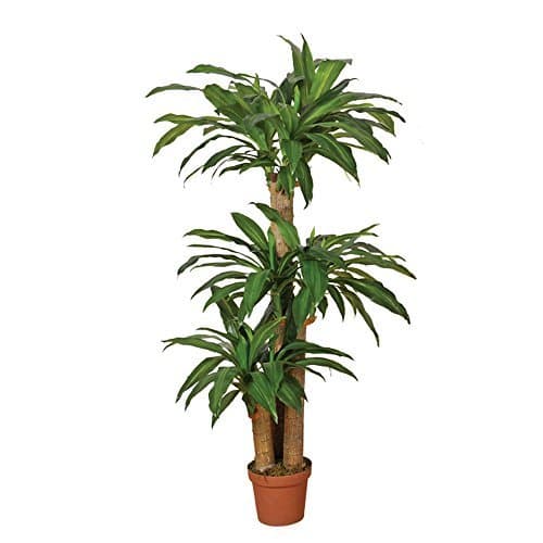 Product Planta artificial drácena 145 cm altura