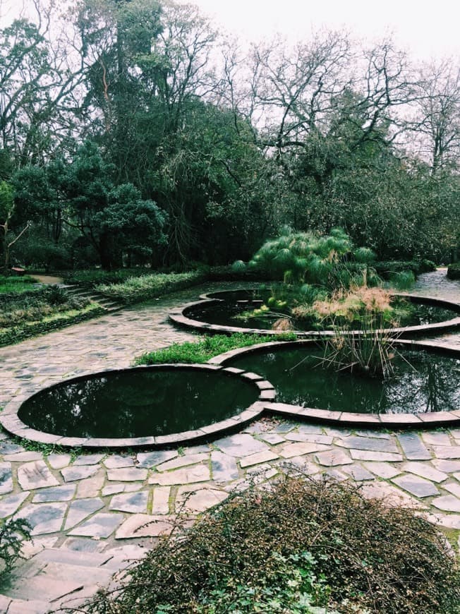 Lugar Jardín Botánico de la Universidad de Oporto