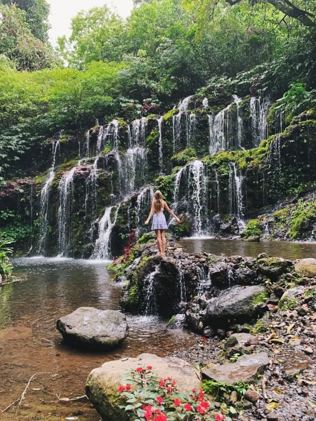 Lugar Banyu Wana Amertha Waterfall