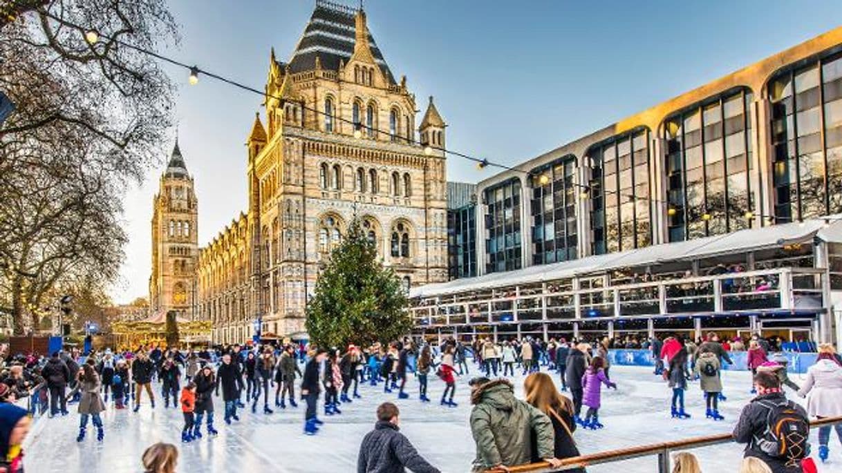 Place Natural History Museum Ice Rink