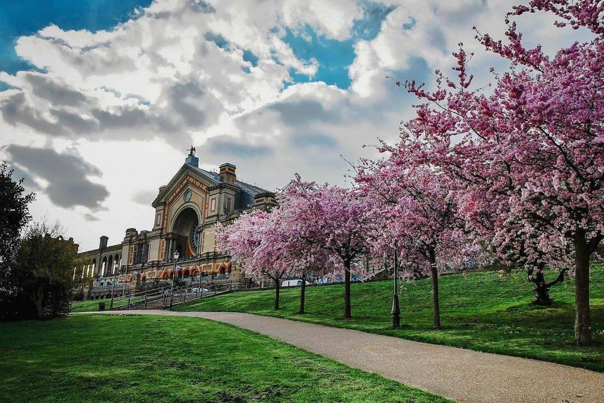 Place Alexandra Palace