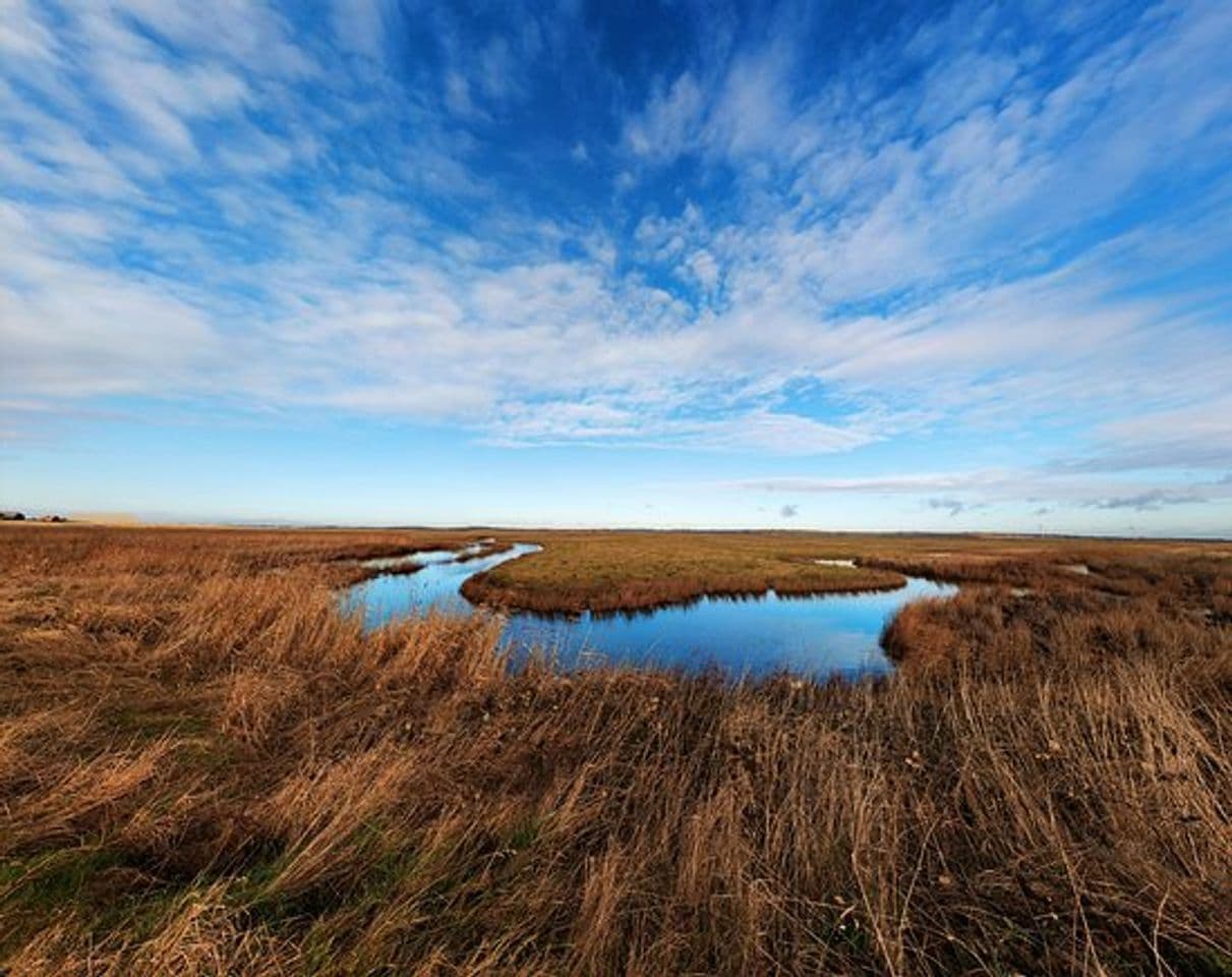 Place Elmley National Nature Reserve