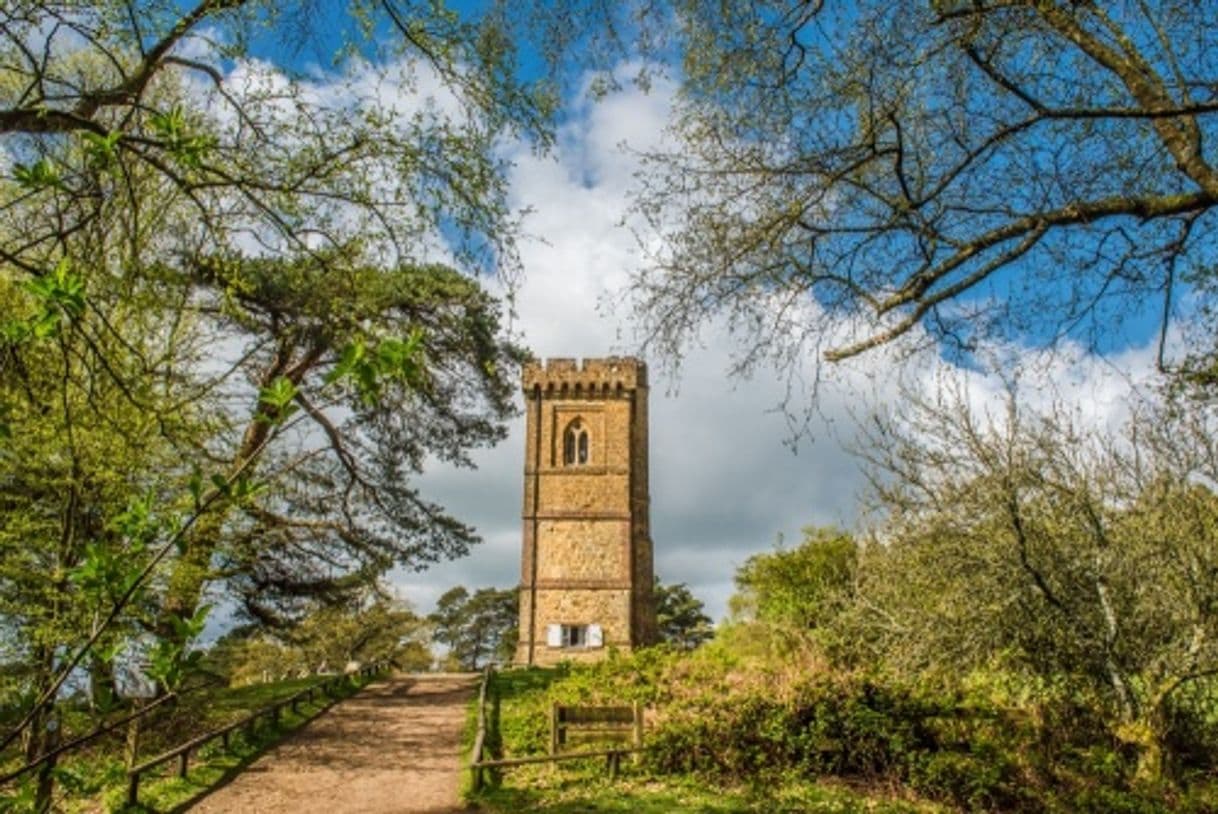 Place Leith Hill Tower