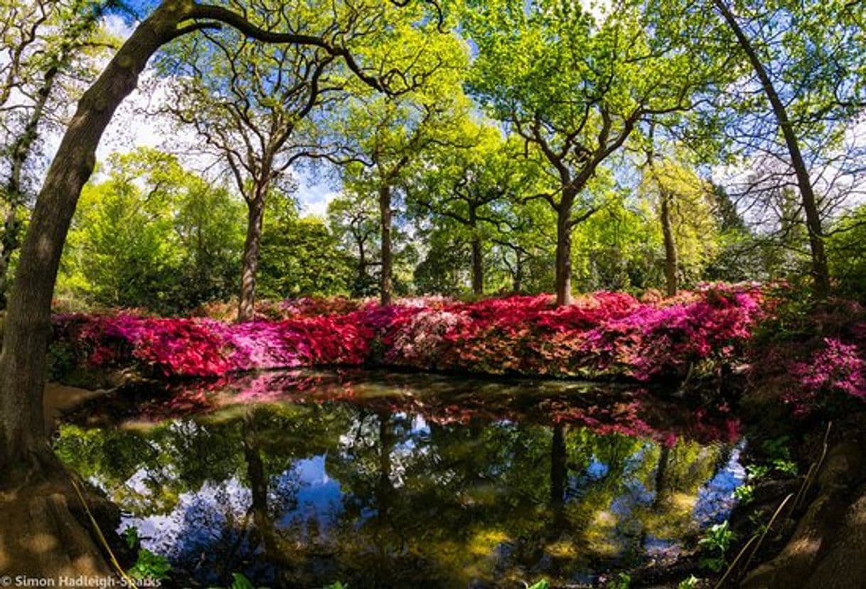 Place Isabella Plantation