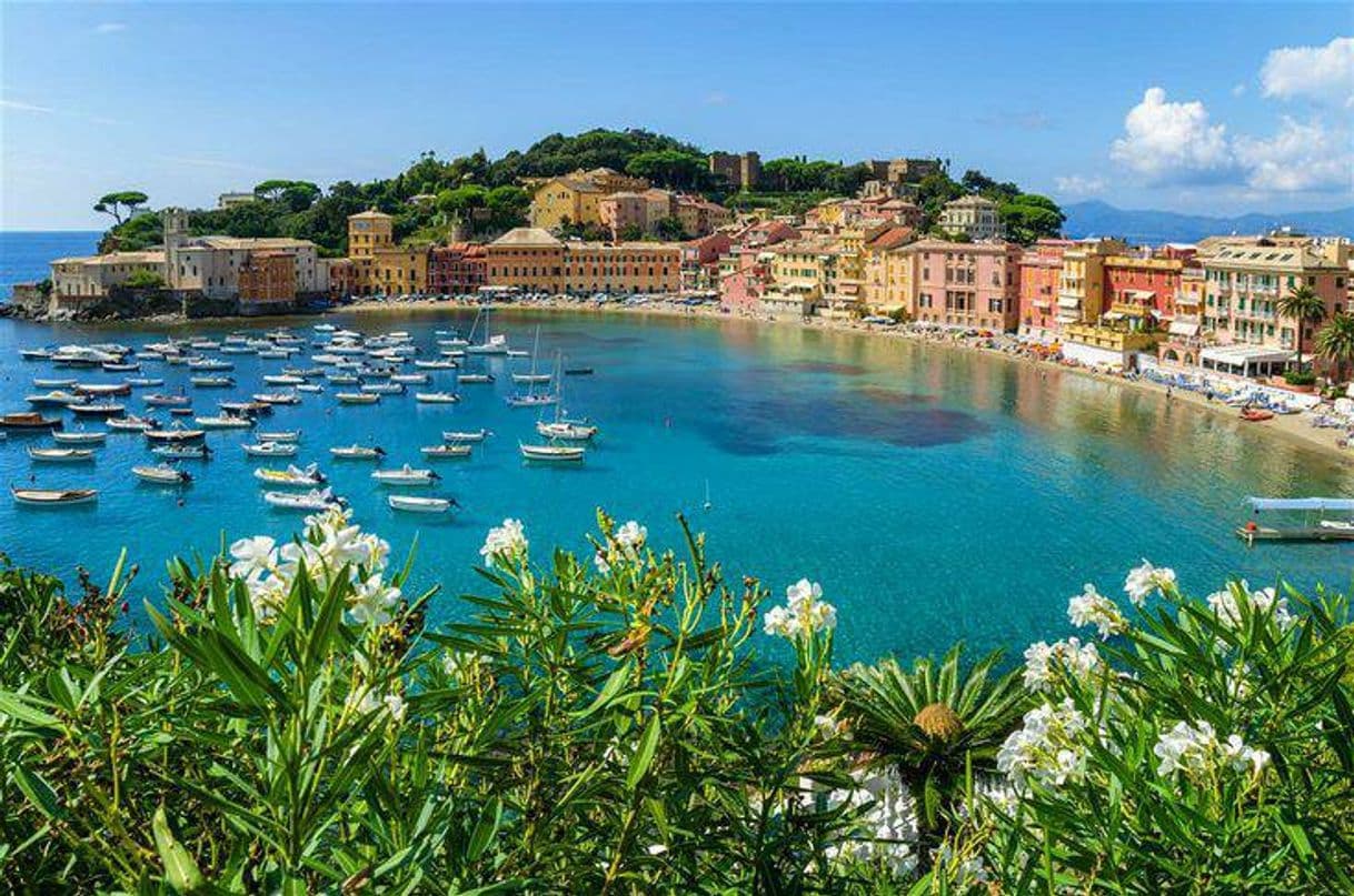 Lugar Salita Mandrella, Sestri Levante