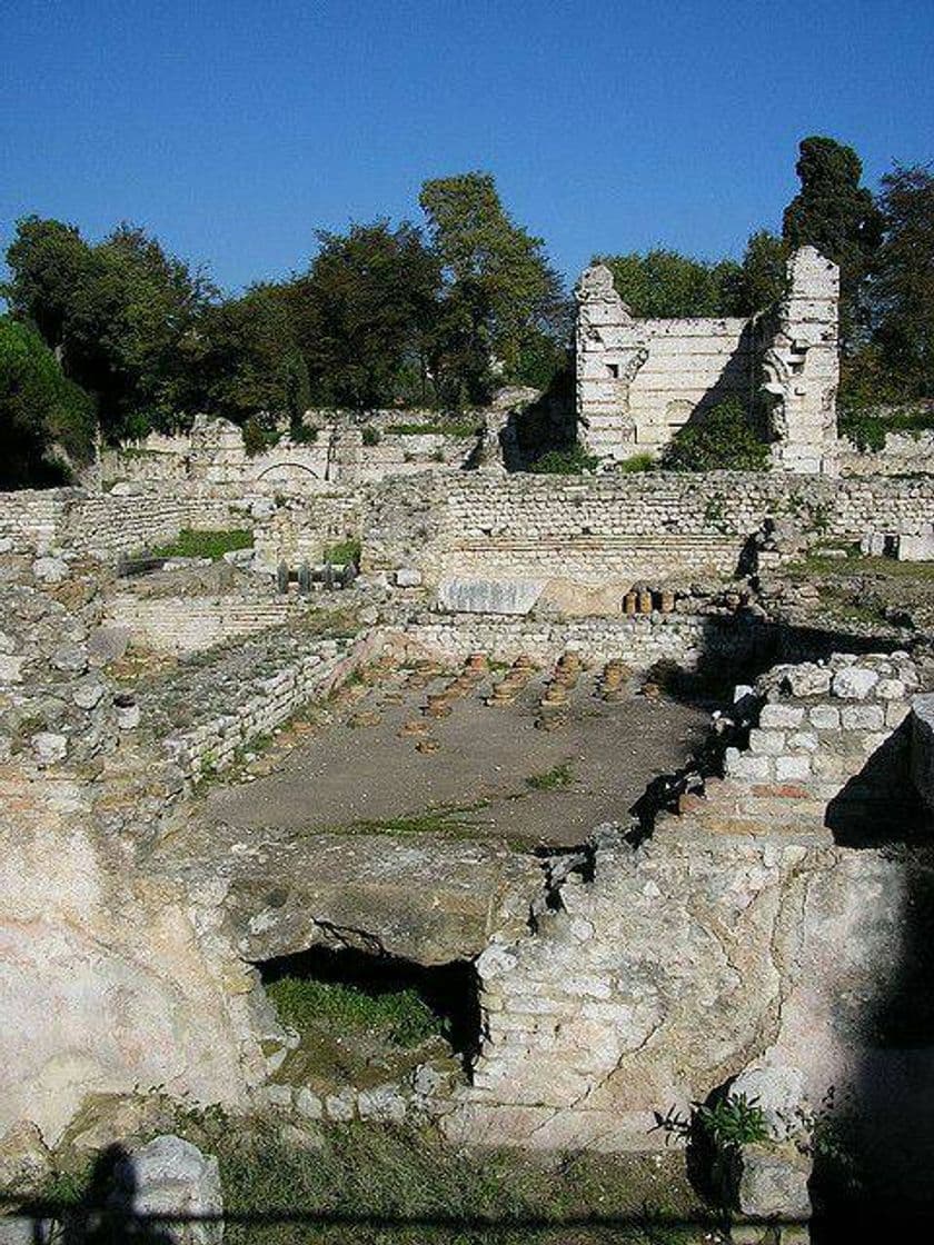 Place Musee D'Archeologie