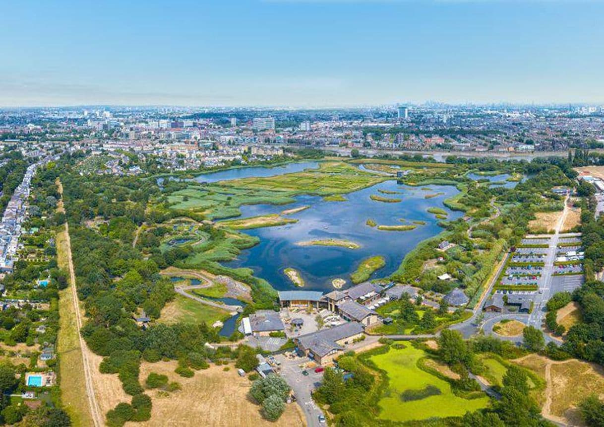 Place London Wetland Centre