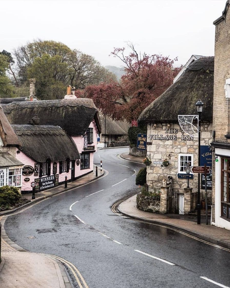 Place Shanklin