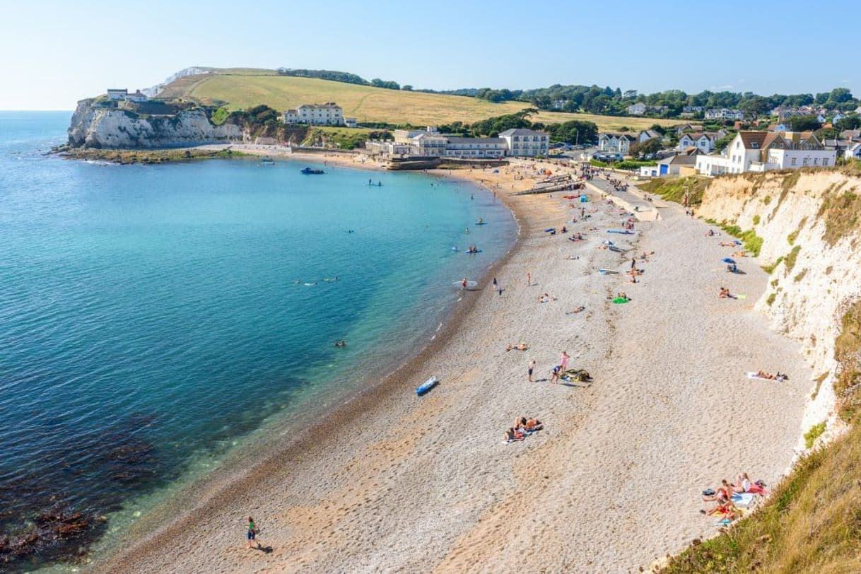 Place Freshwater Bay