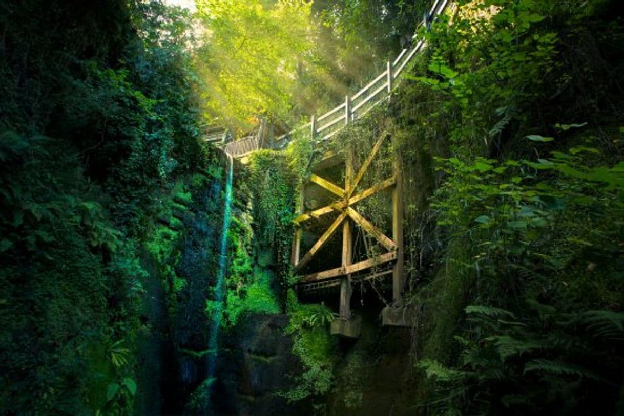 Place Shanklin Chine