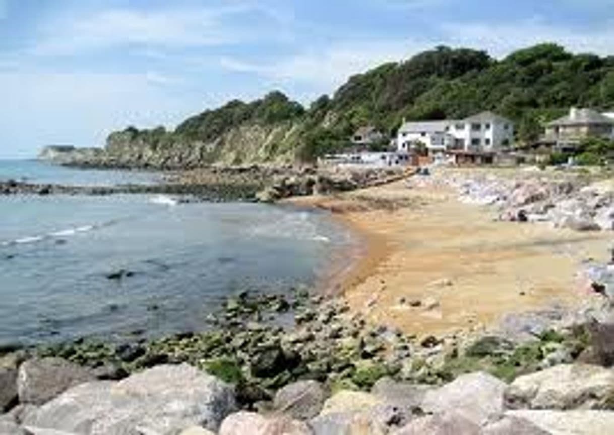 Place Steephill Cove