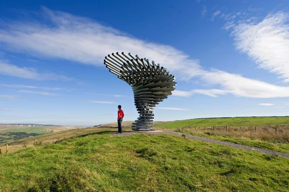 Place Singing Ringing Tree