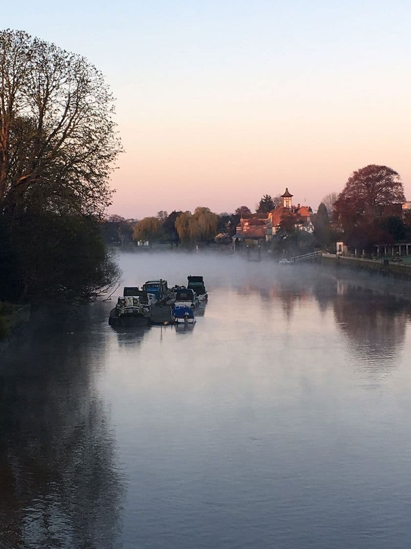 Place Eel Pie Island