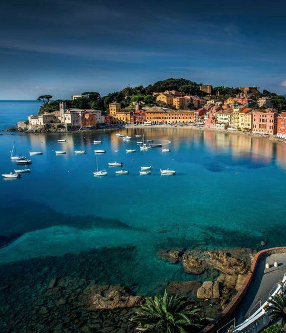 Place Sestri Levante