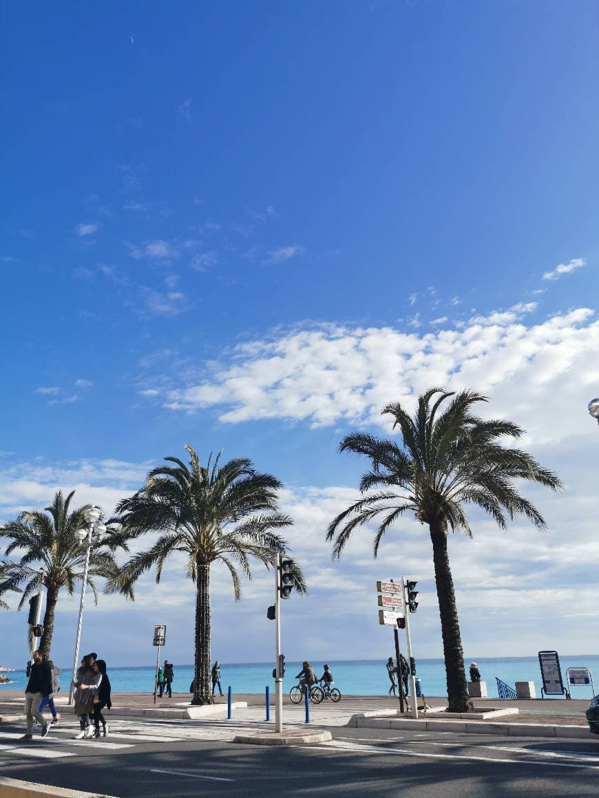 Lugar Plage Publique des Ponchettes