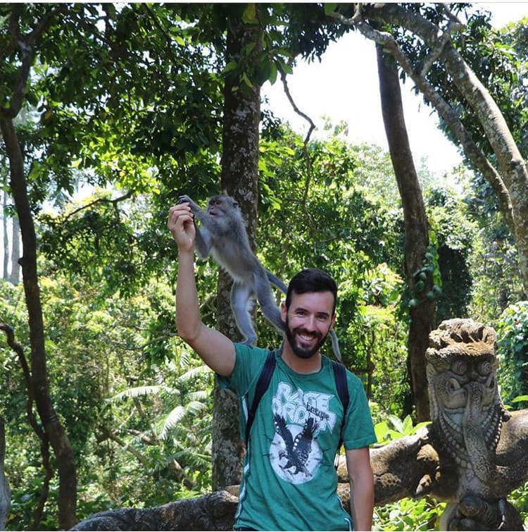 Lugar Sacred Monkey Forest Sanctuary