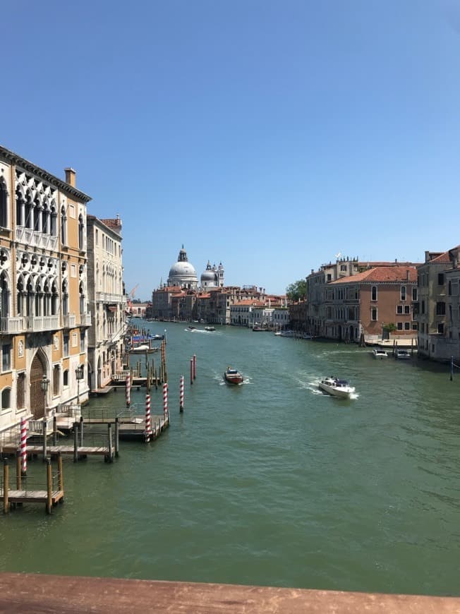 Fashion Vista da Ponte Dell’ Accademia