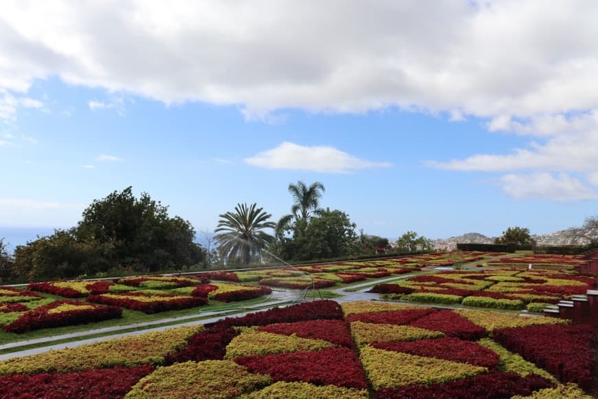 Place Jardín Botánico de Madeira