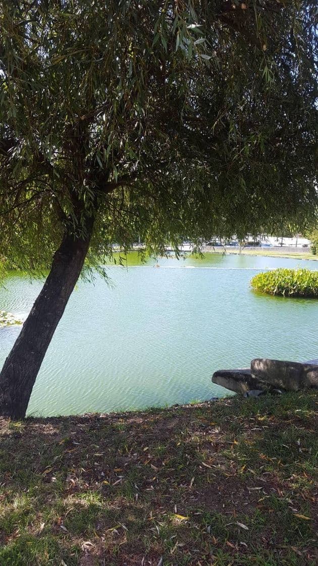 Place Parque da Cidade de Fafe