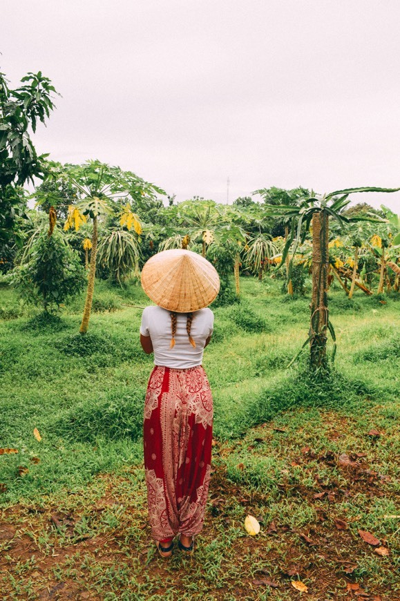 Lugar Delta Mekong