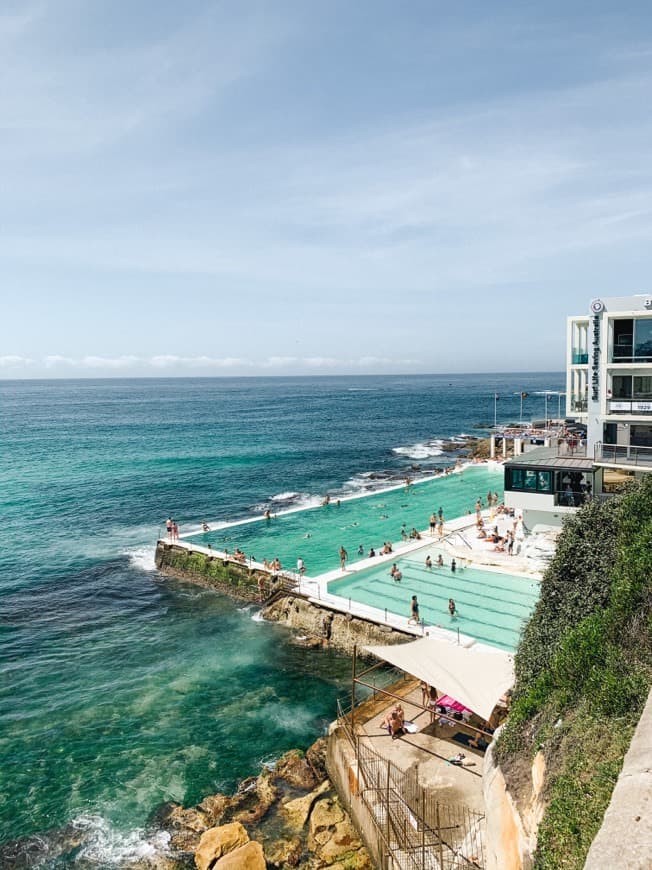 Place Bondi Icebergs POOL