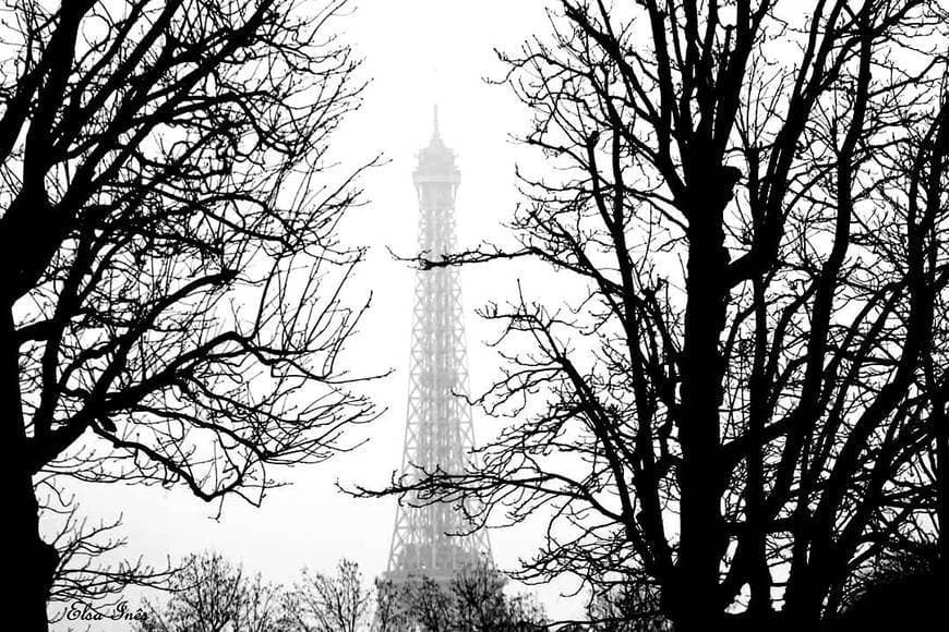 Lugar Torre Eiffel