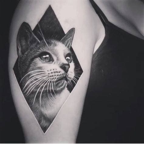 Fashion Tatuagem Gato